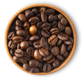 Coffee Arabica