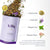 Skinny Sleeptox Tea