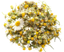 Chamomile